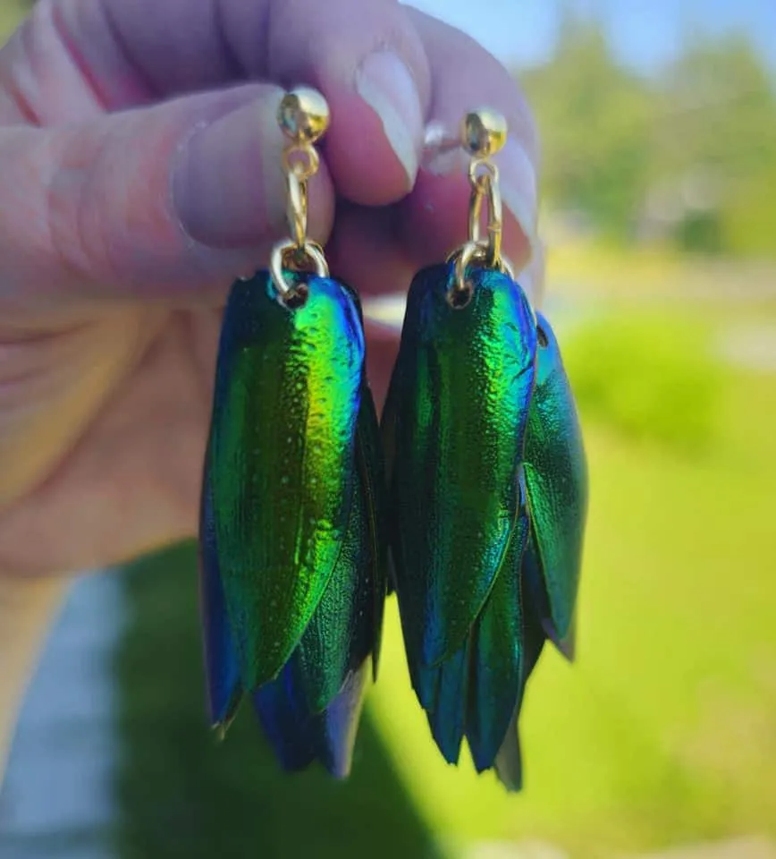 Beetle Wing Earrings – Art Deco Elegance in 14K Gold or Sterling Silver