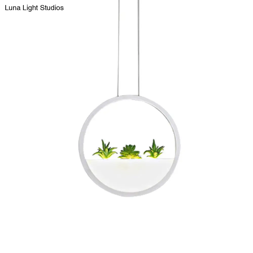 Modern LED Circular Bedside Pendant Ceiling Lamp with Plant Decor and White/Warm Light