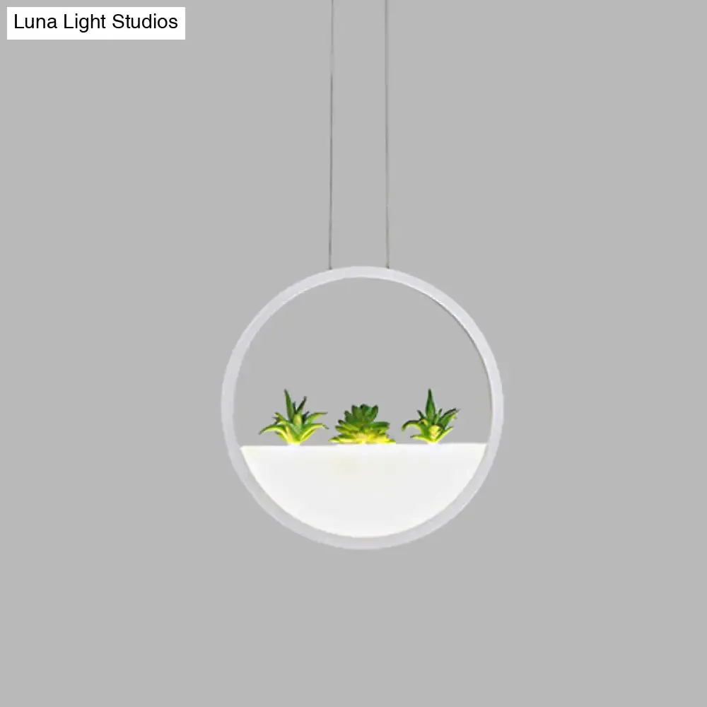 Modern LED Circular Bedside Pendant Ceiling Lamp with Plant Decor and White/Warm Light