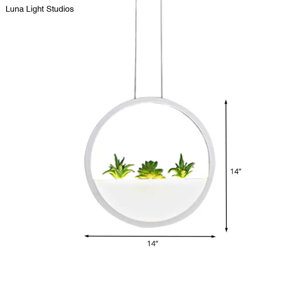 Modern LED Circular Bedside Pendant Ceiling Lamp with Plant Decor and White/Warm Light