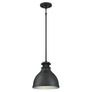 Westinghouse 6326800 1 Light Pendant Matte Brushed Gun Metal Finish with Mesh Detail